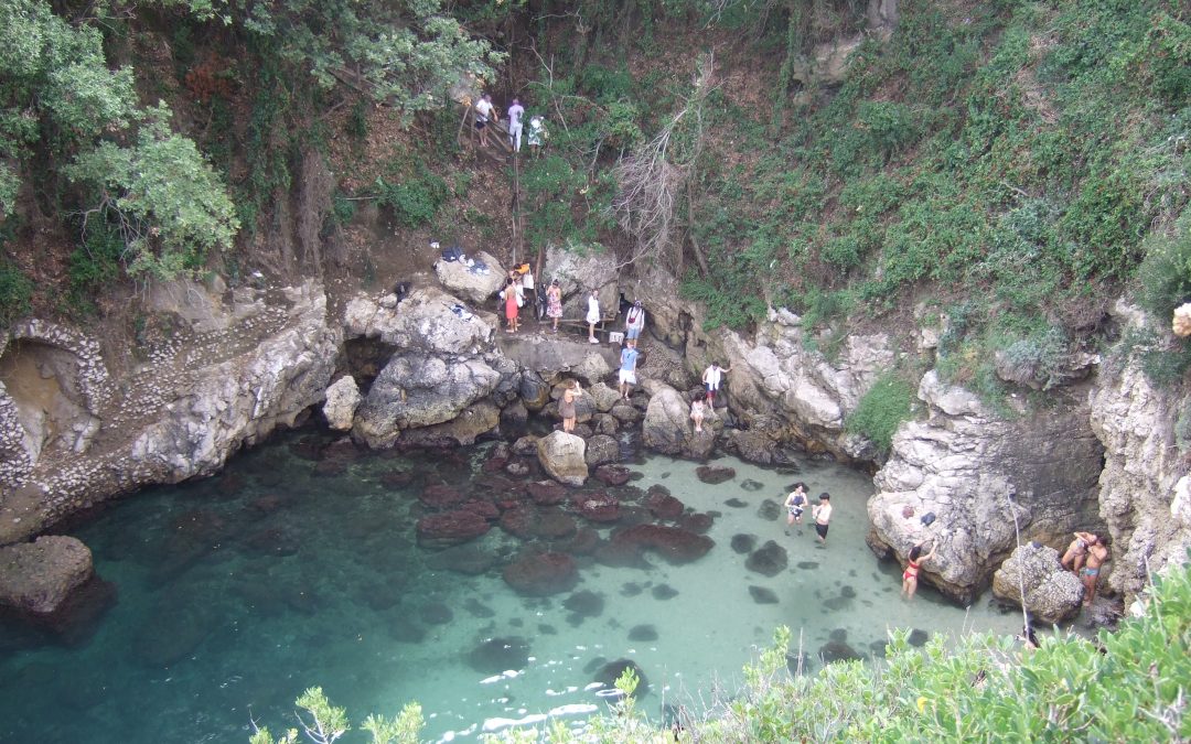 NEWSLETTER SEPT + OCT